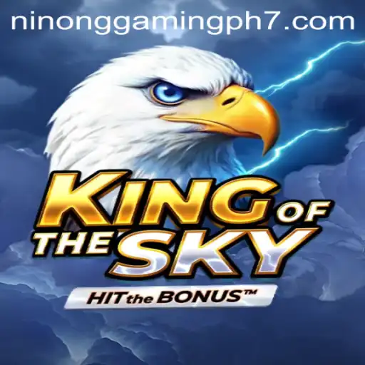 King Of The Sky: A Thrilling New Experience